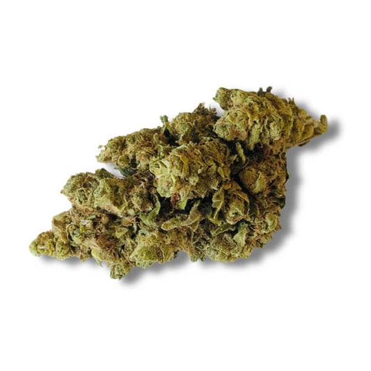 G13 AMNÉSIA