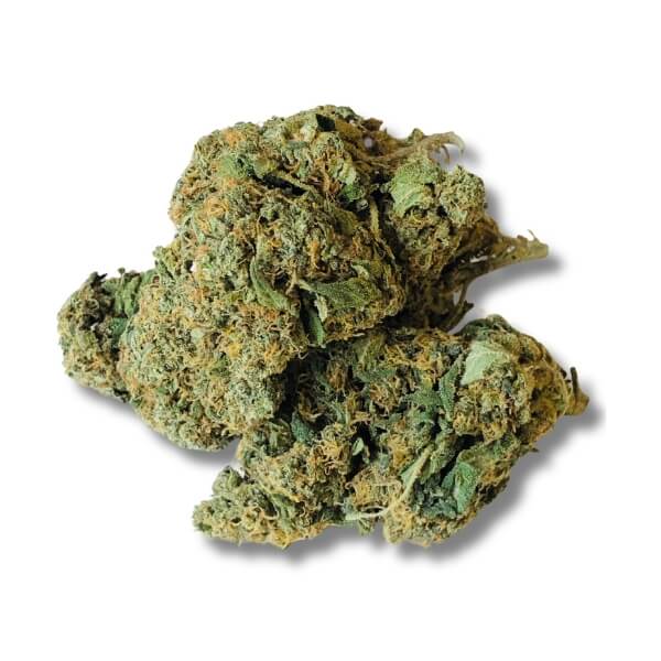 MANGO HAZE